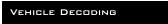 Vehicle Decoding